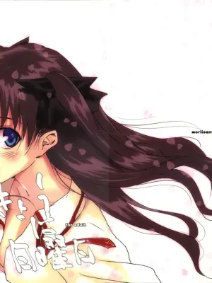 (C71) [Moriisan-Tokono (Morii Shizuki)] Kyouha Nichiyoubi | Today is Sunday. (Fate/stay night) [English]
