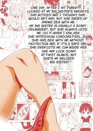 [Matsuyama Seiji] Tanomu to Sex Shite Kureru Boku no Yankee Onee-chan. | My Delinquent Sister Let's Me Fuck Her When I Ask. [English] [Sleepy Works] [Digital]