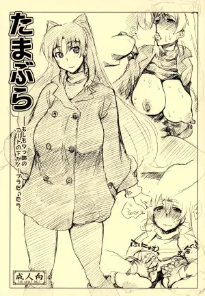 (C81) [Sago-Jou (Seura Isago)] Tamabura (ToHeart2) [Chinese] [不咕鸟汉化组]