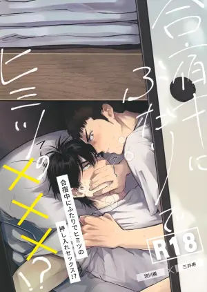 (GOOD COMIC CITY 29) [U (Ujii-chan)] 合宿中にふたりでヒミツの×××!? (Slam Dunk)