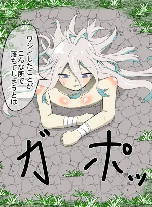 Kankaku Shadan Otoshiana Seizon Flag
