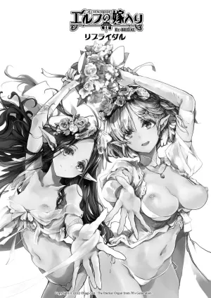 [70 Nenshiki Yuukyuu Kikan (Ohagi-san)] Elf no Yomeiri Re-Bridal [Chinese] [牛肝菌汉化 & dsew个人重嵌] [Decensored]