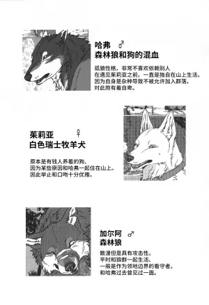 (Kansai Kemoket 10) [Neko no Shuukaijo (Nekomata)] 永恒的至爱 | ETERNAL FIRST [海豚之涌众筹汉化]