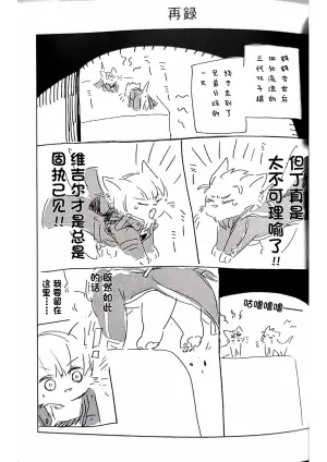 [灸と生ハム(宗六)]双子猫再録 [Dante x Vergil](Devil May Cry) [Chinese]