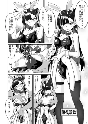 [ミナミ・シン] ドルフロ２ファンブック 兎耳瓊玖