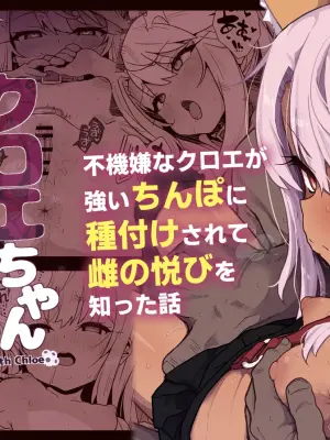 [Eclipse (Rougetu)] Chloe-Chan to no Nichijou -Daily Life with Chloe- + C105 Kaijou Gentei Hon -Beast Miyu Hen- | 与小克洛伊的日常 -Daily Life with Chloe- (Fate/kaleid liner Prisma Illya) [Chinese] [欶澜汉化组] [Decensored] [Digital]
