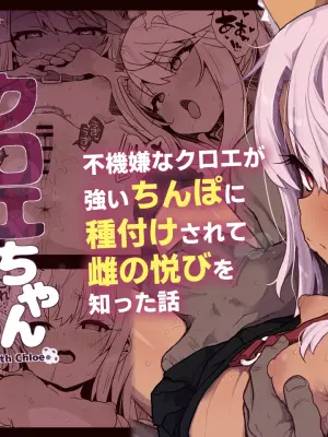 [Eclipse (Rougetu)] Chloe-Chan to no Nichijou -Daily Life with Chloe- + C105 Kaijou Gentei Hon -Beast Miyu Hen- | 与小克洛伊的日常 -Daily Life with Chloe- (Fate/kaleid liner Prisma Illya) [Chinese] [欶澜汉化组] [Decensored] [Digital]