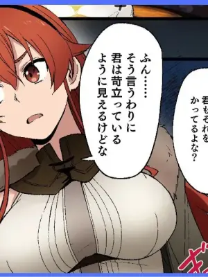 とくぴょん_無職転生ifルート・アスラ王国編・エリス