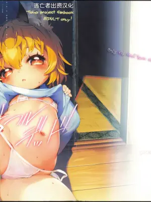 (C104) [Hinaprin (Ikuta Takanon)] Grateful Dead (Touhou Project) [Chinese] [逃亡者×真不可视汉化组]