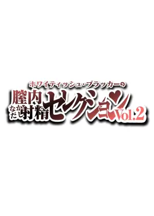 [Whitish Blacker (Andojing)] Nakadashi Selection Vol.2 [Chinese] [凑乎看个人汉化]
