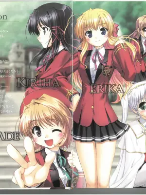 FORTUNE ARTERIAL PERFECT VISUAL BOOK