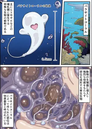 [Shirabe Shiki] Kaikan kikan: Kisei-gata [Decensored]