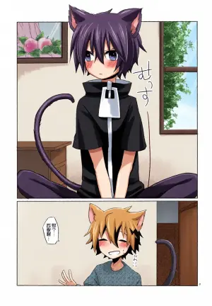 (Bouken no Sho. 4) [meltwater (Rata)] Nyan  (Senyuu.) [Chinese] [MTL]