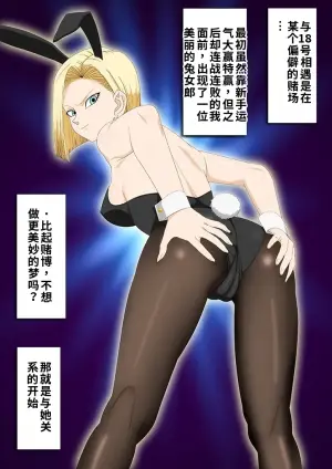 [PURPLE HAZE (Lime)] ROUTE 18 Bunny Girl Hen (Dragon Ball Z)［自用］