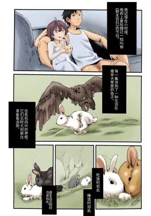 【中V/南北组】兔子（乐正绫x洛天依）