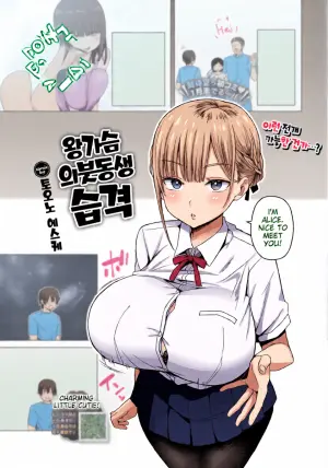 [Toono Esuke] Dekapai Gimai, Syuurai [English]