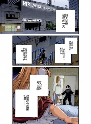 [Nechosuke. (Amami)] Iyasare Futon no Shouwaru Tsukumogami [Chinese] [个人机翻]