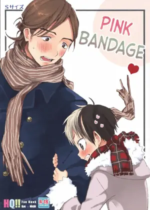 [S-Size (Shinachiku)] Momoiro no Bansoukou | Pink Bandage (Haikyuu!!) [English] {Chin²}