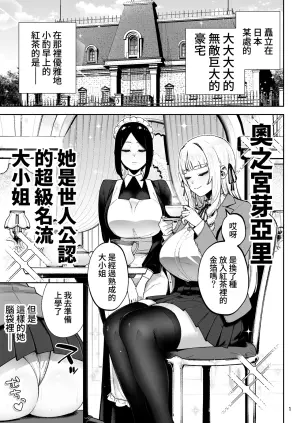 [Golden Bazooka(Gagarin Kichi,, Papicolo)] Soreyuke, Ero Baka Ojou-sama! ~Celeb no Watashi ga Dekachin Shomin wo Tegome ni Suru no wa Touzen desu!~ [Chinese] [Amerins漢化] [Digital]
