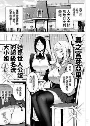 [Golden Bazooka(Gagarin Kichi,, Papicolo)] Soreyuke, Ero Baka Ojou-sama! ~Celeb no Watashi ga Dekachin Shomin wo Tegome ni Suru no wa Touzen desu!~ [Chinese] [Amerins漢化] [Digital]