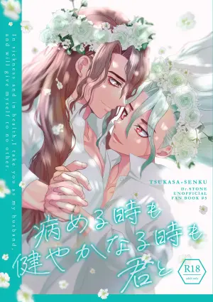 [Smart Cat (Kico Neko)] 病める時も健やかなる時も君と (Dr.STONE) [Digital]