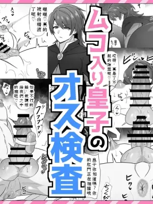 [満足する同盟 ] ムコ入り皇子のオス検査 Chinese TR AI translation