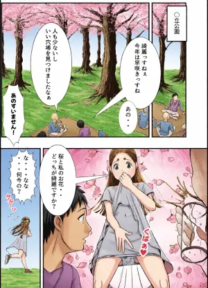 [Midori Nichi] Ohanami