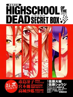 HIGHSCHOOL OF THE DEAD SECRET BOX ANTHOLOGY