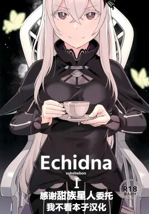 (C99) [Ohanabatake (Siseki Hirame)] Echidna sukebebon I (Re:Zero kara Hajimeru Isekai Seikatsu) [Chinese] [甜族星人x我不看本子汉化] [Digital]