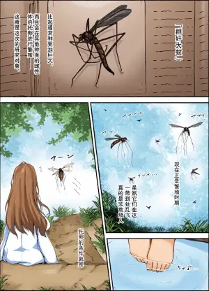 [gura] Shunin×Crane fly [chinese]