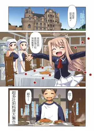 (C73) [PNO Group (Hase Yuu)] Illya with SellaLeys-bun Hokan Keikaku!!! (Fate/stay night) [Chinese]