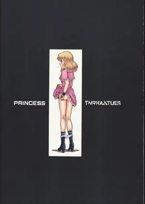 [Rat Tail（Irie Yamazaki）]PRINCESS MAGAZINE NO.2 [个人翻译]