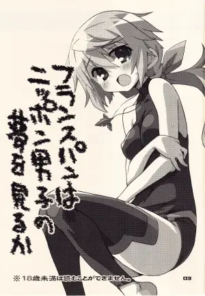 [Kousoku Kaiten (Yagumo Kengou)] France Pan wa Nippon Danshi no Yume wo Miruka (IS <Infinite Stratos>)