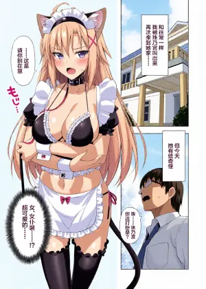 [Digital Flyer (Ohta Yuichi)] Neko to Geboku VI - Cats and servant volume.6 [Chinese] [Digital]