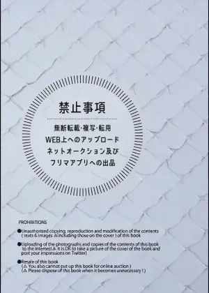 【Hatonic(よこなか)】Which is better!?(崩坏:星穹铁道）