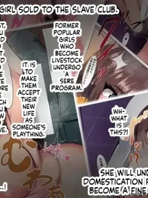 mitsuki - Hanko Shojo Kachiku-ka Program