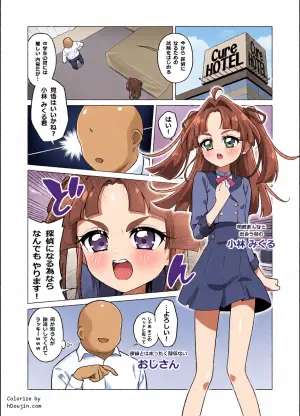 [たいらー] たんプリまんが② (名探偵プリキュア!)