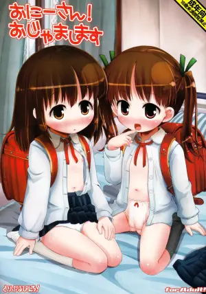 (COMIC1☆6) [Triple Pinch! (Hikami Izuto)] Onii-san! Ojamashimasu [Decensored]
