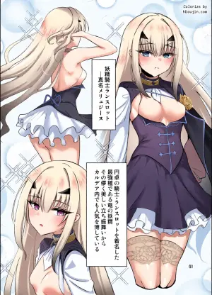 [Sarasara Canvas (Mikisarara)] Meryukore (Fate/Grand Order) [Digital]