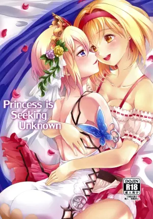 (C95) [Memoria (Tilm)] Princess is Seeking Unknown (Granblue Fantasy) (MTL)