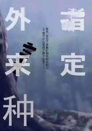 自用