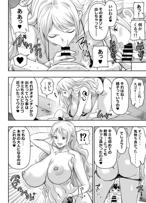 [オスワーニ] skebご依頼未発表 ワン〇ース ナ〇 計4P (ワンピース)