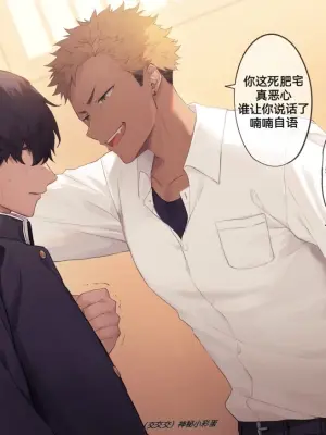 小合集